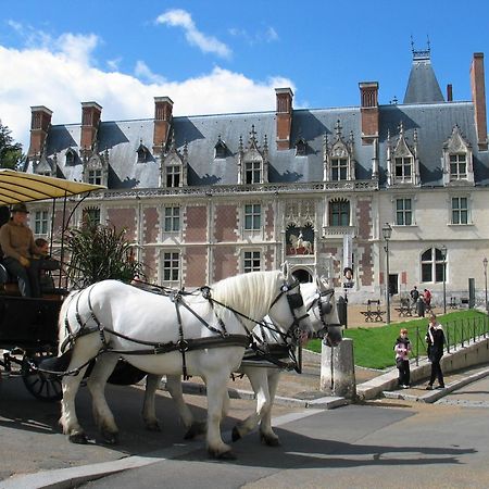 Blois City - Le Petit Saint Jean Exterior foto
