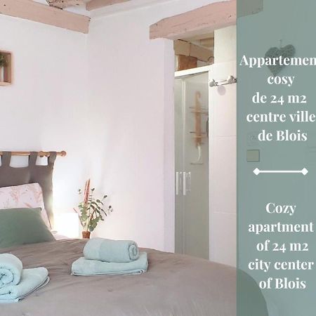 Blois City - Le Petit Saint Jean Exterior foto