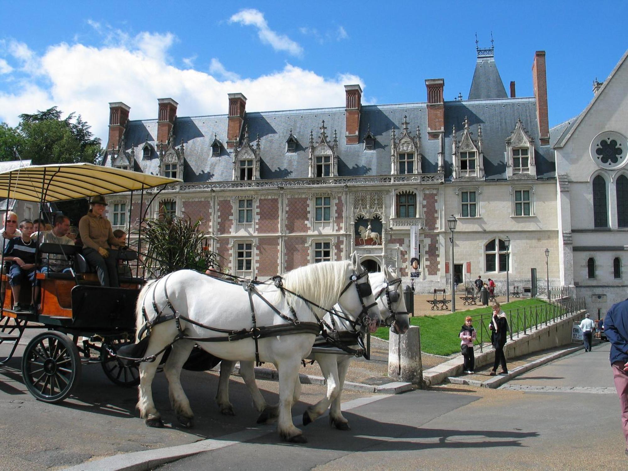 Blois City - Le Petit Saint Jean Exterior foto