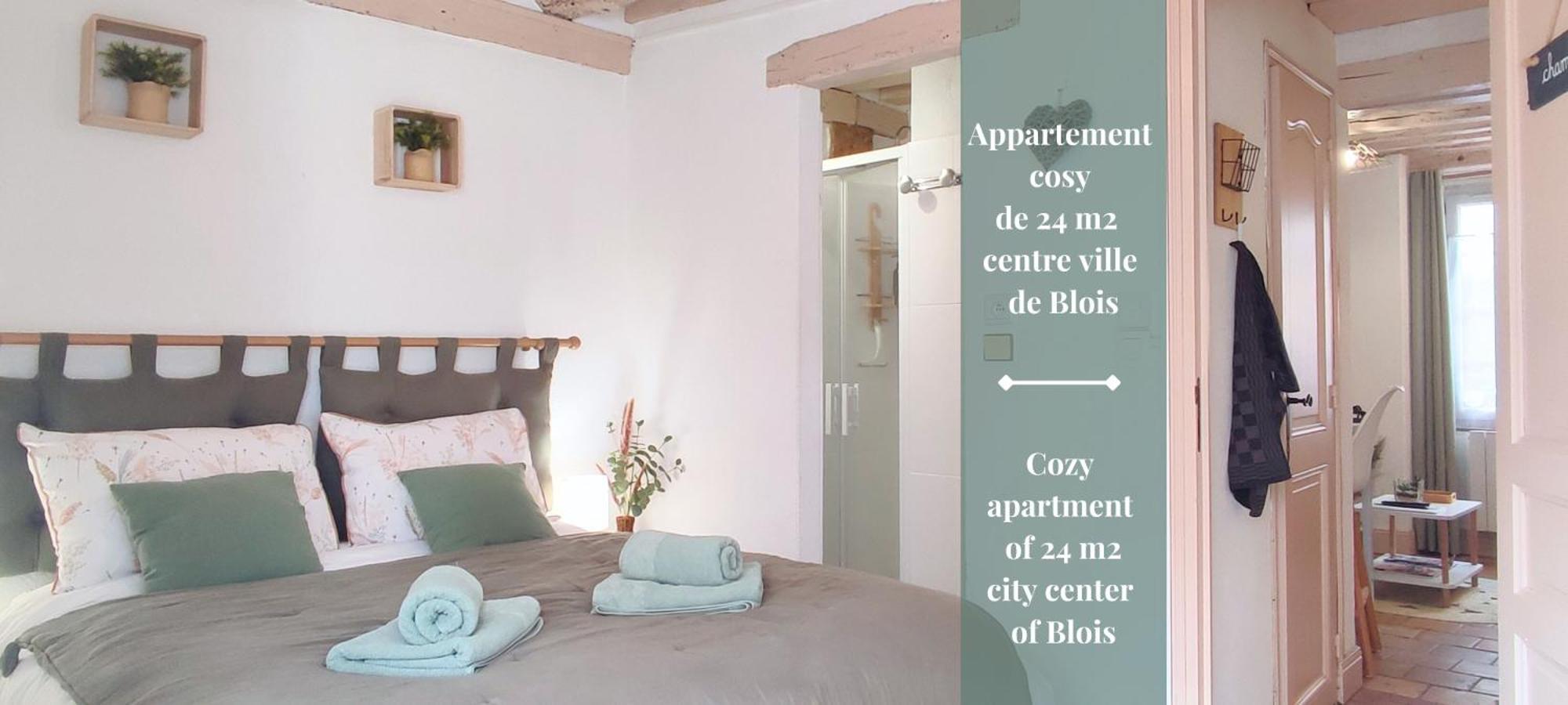 Blois City - Le Petit Saint Jean Exterior foto
